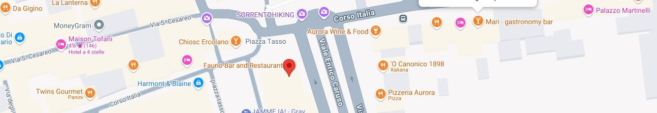 Fauno Bar S.r.l. Unipersonale